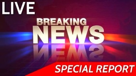 news design