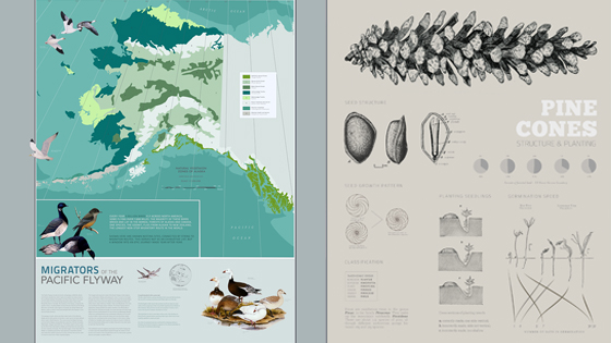 info design