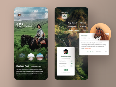 info design